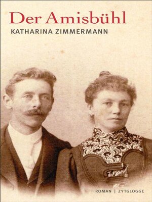 cover image of Der Amisbühl
